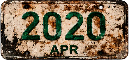 Placa 2020